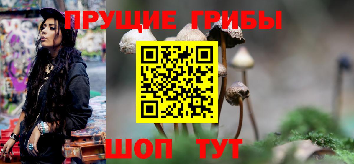 Галлюциногенные грибы прущие грибы  Вход с VPN  хочу   Кстово  Псилоцибиновые грибы MAGIC MUSHROOMS 