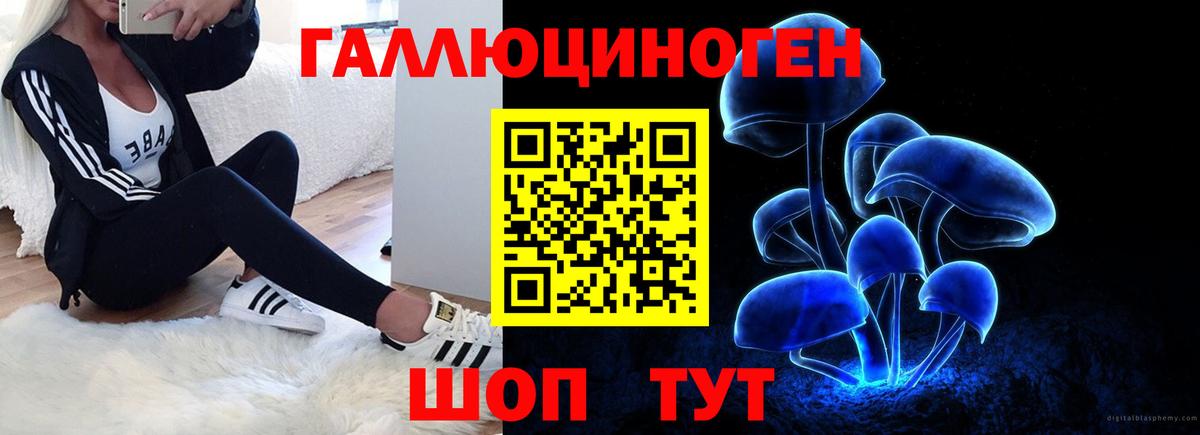 Псилоцибиновые грибы GOLDEN TEACHER Кстово